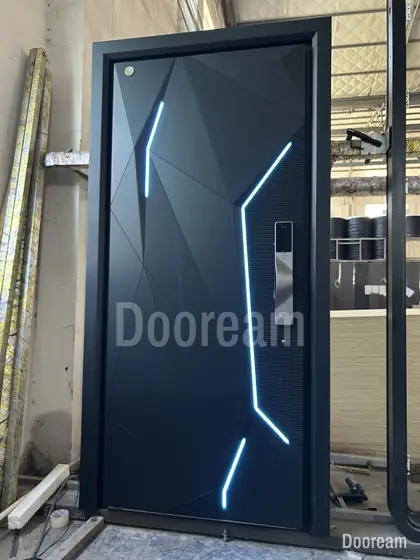 Dark pivot door with light lines, photographed on our floor