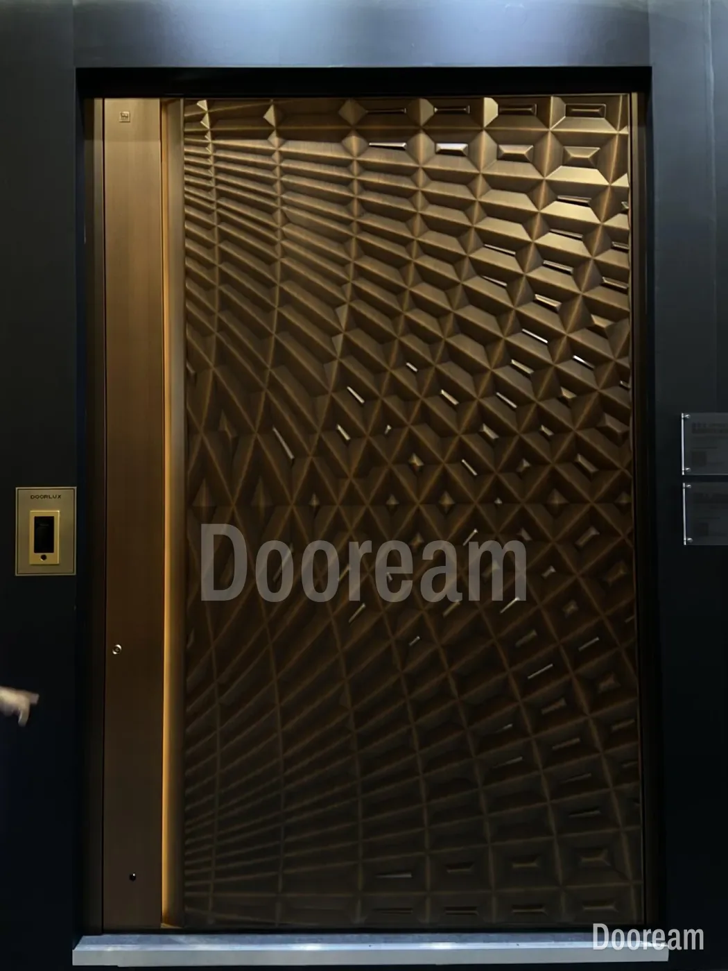 Lattice cast-aluminium pivot door in our showroom