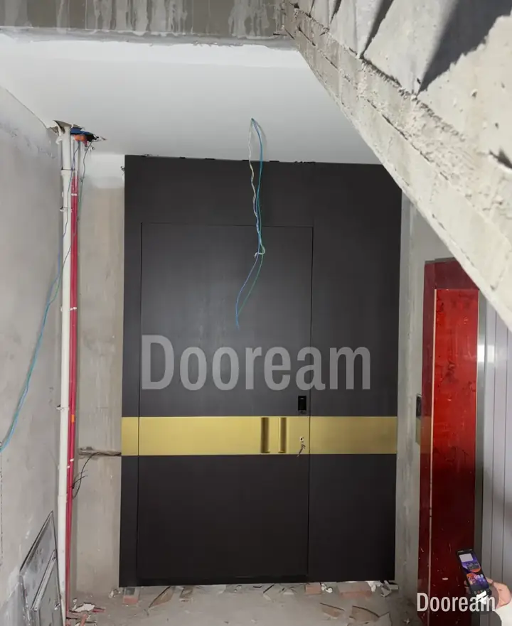 Dark double door with a horizontal gold band, installed