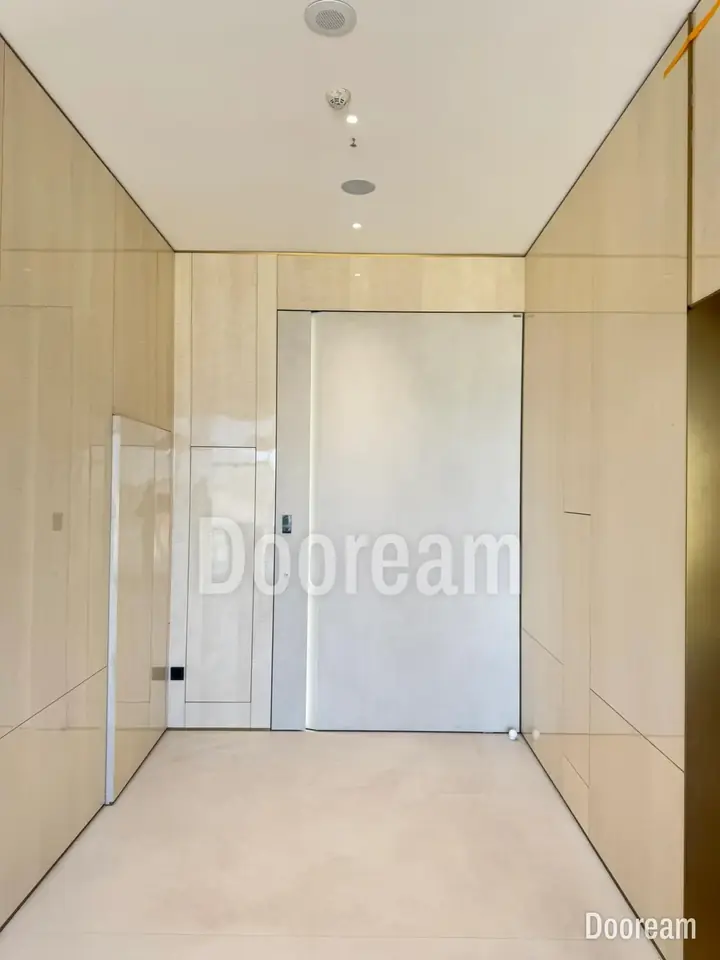 Pale door that blends into a pale entrance-hall wall, installed