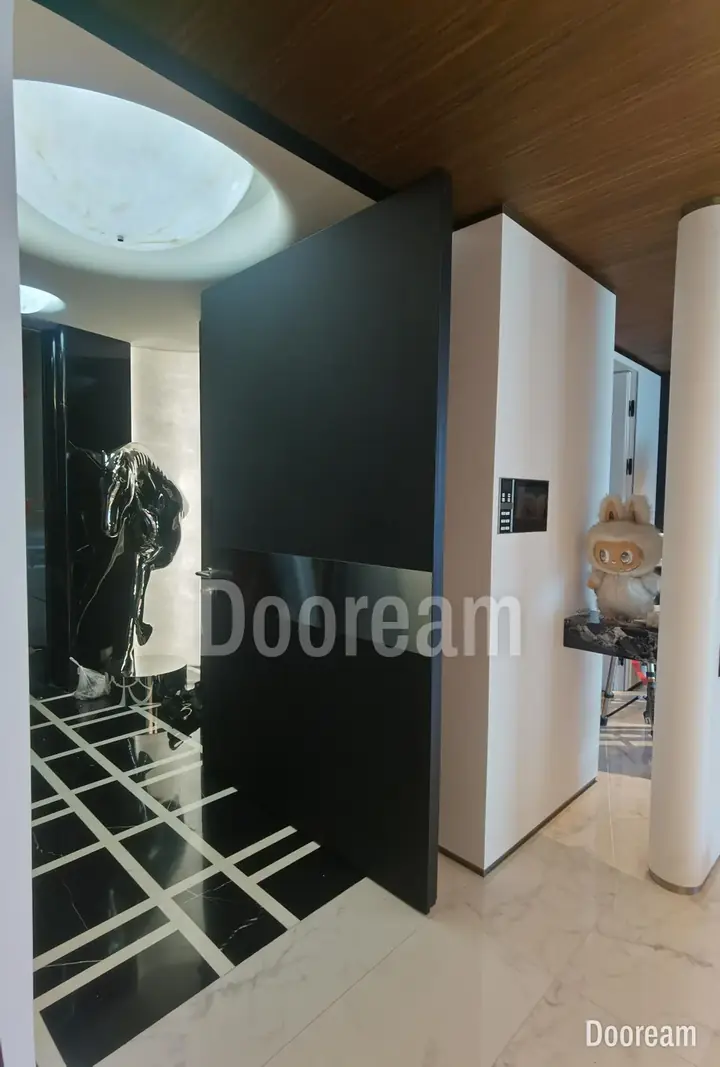 Dark entrance door, with a black-and-white stone floor and a round ceiling feature, installed